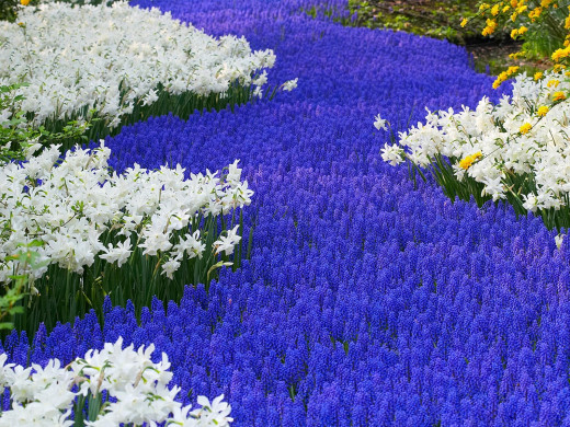 427062 (a): :1600x1200